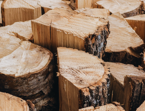 Die Technik macht’s: Heizen mit Holz muss keine Umweltsünde sein